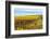 Les Collines Vineyard in Autumn, Walla Walla, Washington, USA-Richard Duval-Framed Photographic Print