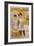 Les Corsets Le Furet Poster-Gaston Noury-Framed Giclee Print