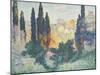 Les cyprès à Cagnes-Henri Edmond Cross-Mounted Giclee Print