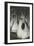 Les deux soeurs ; dit aussi Portraits dans un parc-James Tissot-Framed Giclee Print