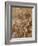 Les Dieux de l'Olympe : Jupiter, Apollon, Diane et Mars-Paolo Veronese-Framed Giclee Print