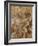 Les Dieux de l'Olympe : Jupiter, Apollon, Diane et Mars-Paolo Veronese-Framed Giclee Print