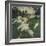 Les Dindons (The Turkeys)-Claude Monet-Framed Giclee Print