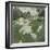 Les dindons-Claude Monet-Framed Giclee Print