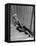 Les Ecumeurs THE SPOILERS by Ray Enright with Marlene Dietrich, 1942 (photo)-null-Framed Stretched Canvas
