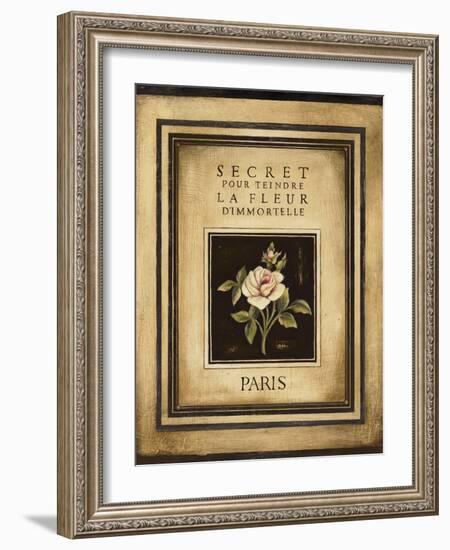 Les Fleurs de Paris I-Kimberly Poloson-Framed Art Print