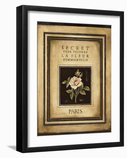 Les Fleurs de Paris I-Kimberly Poloson-Framed Art Print