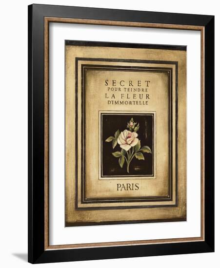 Les Fleurs de Paris I-Kimberly Poloson-Framed Art Print