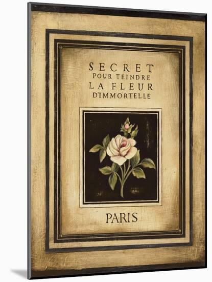 Les Fleurs de Paris I-Kimberly Poloson-Mounted Art Print