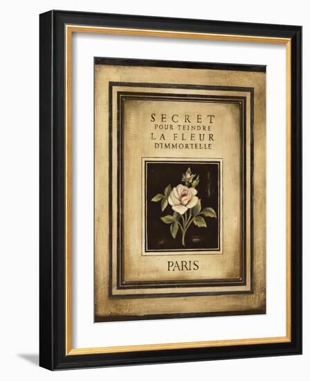 Les Fleurs de Paris I-Kimberly Poloson-Framed Art Print