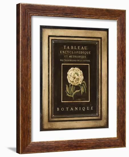 Les Fleurs de Paris II-Kimberly Poloson-Framed Art Print