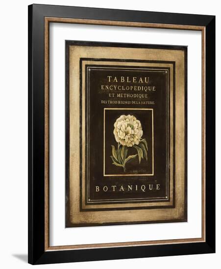 Les Fleurs de Paris II-Kimberly Poloson-Framed Art Print