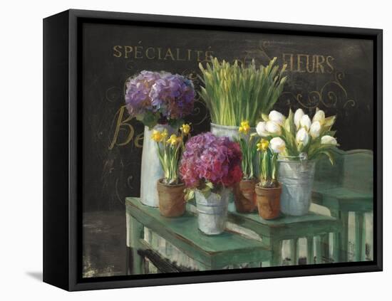 Les Fleurs Printemps on Black-Danhui Nai-Framed Stretched Canvas