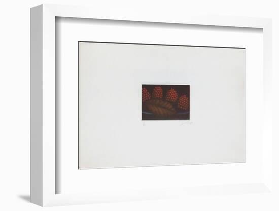Les framboises-Laurent Schkolnyk-Framed Limited Edition