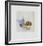 Les Fruits Exotiques-Annapia Antonini-Framed Limited Edition