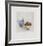 Les Fruits Exotiques-Annapia Antonini-Framed Limited Edition