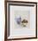 Les Fruits Exotiques-Annapia Antonini-Framed Limited Edition