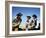 Les Grands Espaces THE BIG COUNTRY by William Wyler with Chuck Connors, Gregory Peck and Carroll Ba-null-Framed Photo