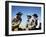 Les Grands Espaces THE BIG COUNTRY by William Wyler with Chuck Connors, Gregory Peck and Carroll Ba-null-Framed Photo