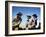 Les Grands Espaces THE BIG COUNTRY by William Wyler with Chuck Connors, Gregory Peck and Carroll Ba-null-Framed Photo