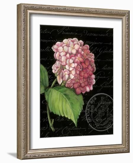 Les Jardin Geranium-Kimberly Poloson-Framed Art Print