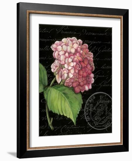 Les Jardin Geranium-Kimberly Poloson-Framed Art Print