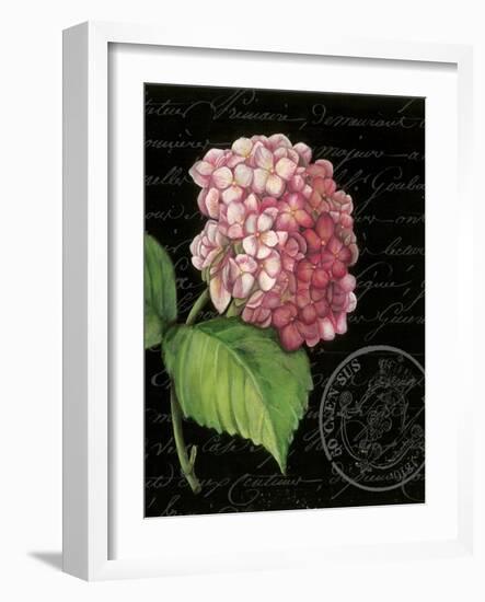 Les Jardin Geranium-Kimberly Poloson-Framed Art Print