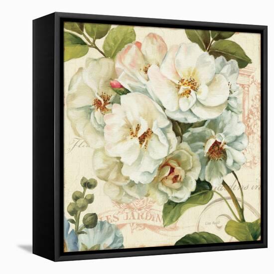 Les Jardin III-Lisa Audit-Framed Stretched Canvas