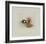 Les Kakis De Quatre Heures-Annapia Antonini-Framed Limited Edition