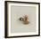 Les Kakis De Quatre Heures-Annapia Antonini-Framed Limited Edition