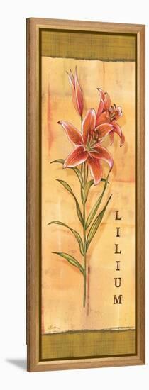 Les Lys III-Charlene Audrey-Framed Stretched Canvas