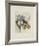 Les Muscaris-Annapia Antonini-Framed Limited Edition