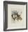 Les Muscaris-Annapia Antonini-Framed Limited Edition