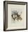 Les Muscaris-Annapia Antonini-Framed Limited Edition