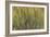 Les Nymph? : Soleil couchant-Claude Monet-Framed Giclee Print