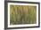 Les Nymph? : Soleil couchant-Claude Monet-Framed Giclee Print