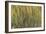 Les Nymph? : Soleil couchant-Claude Monet-Framed Giclee Print