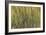 Les Nymph? : Soleil couchant-Claude Monet-Framed Giclee Print