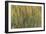 Les Nymph? : Soleil couchant-Claude Monet-Framed Giclee Print