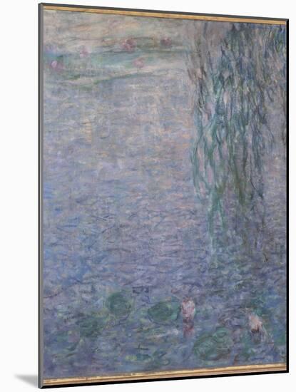 Les Nymphéas : Le Matin clair aux saules-Claude Monet-Mounted Giclee Print