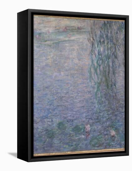 Les Nymphéas : Le Matin clair aux saules-Claude Monet-Framed Premier Image Canvas