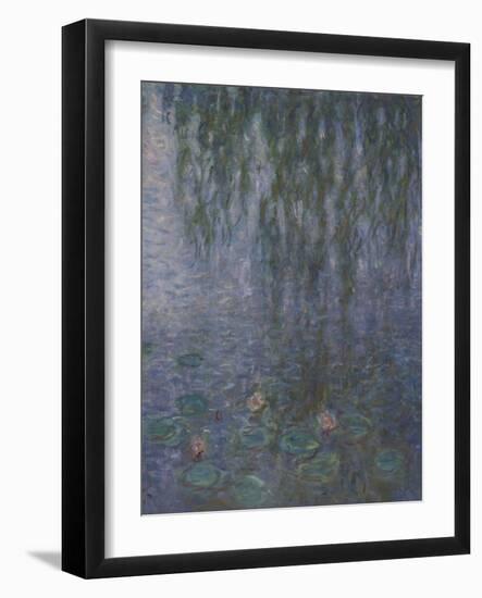 Les Nymphéas : Le Matin clair aux saules-Claude Monet-Framed Giclee Print