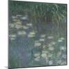 Les Nymphéas : Matin-Claude Monet-Mounted Giclee Print