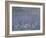 Les Nymphéas : Matin-Claude Monet-Framed Giclee Print