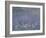 Les Nymphéas : Matin-Claude Monet-Framed Giclee Print