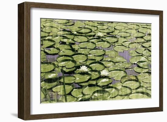 Les Nympheas-Erin Clark-Framed Art Print