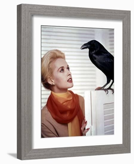 Les Oiseaux THE BIRDS d'Alfred Hitchcock with Tippi Hedren, 1963 (photo)-null-Framed Photo