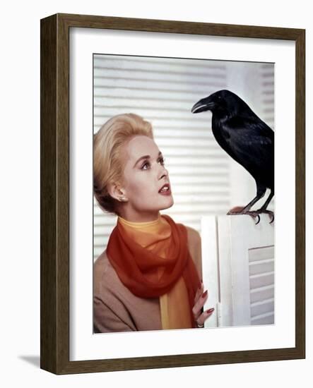 Les Oiseaux THE BIRDS d'Alfred Hitchcock with Tippi Hedren, 1963 (photo)-null-Framed Photo