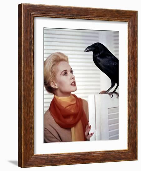 Les Oiseaux THE BIRDS d'Alfred Hitchcock with Tippi Hedren, 1963 (photo)-null-Framed Photo