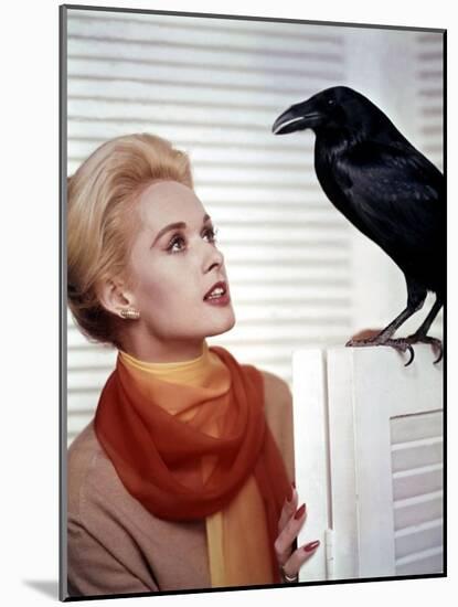 Les Oiseaux THE BIRDS d'Alfred Hitchcock with Tippi Hedren, 1963 (photo)-null-Mounted Photo